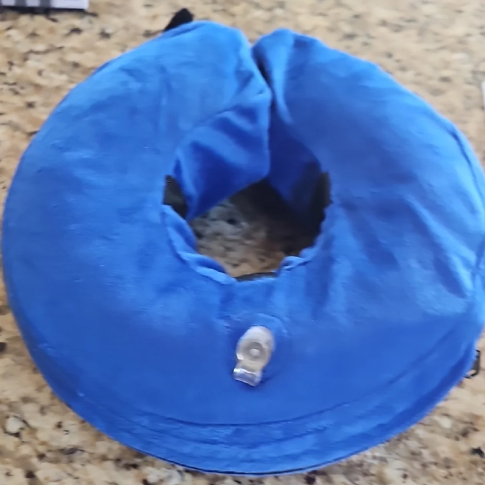 Not used Bencmate Blue Inflatable Pet Recovery Collar Size Medium
